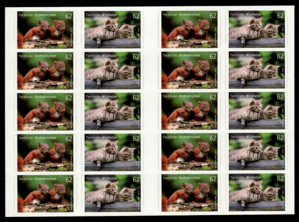 FBL 044 Tierkinder Eichhörnchen-Wildkatze