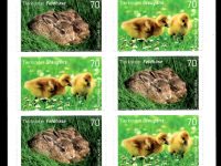 FBL 055 Tierkinder Feldhase-Graugans