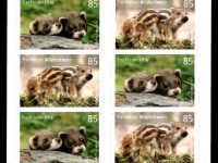 FBL 064 Tierkinder Iltis