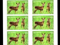 FBL 075 Tierbabys Reh