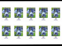 FBL 083 Hasenglöckchen