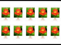 FBL 089 Große Kapuzinerkresse