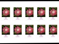 FBL 090 Flockenblume