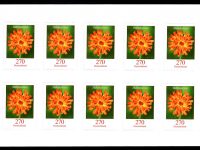 FBL 093 Habichtskraut