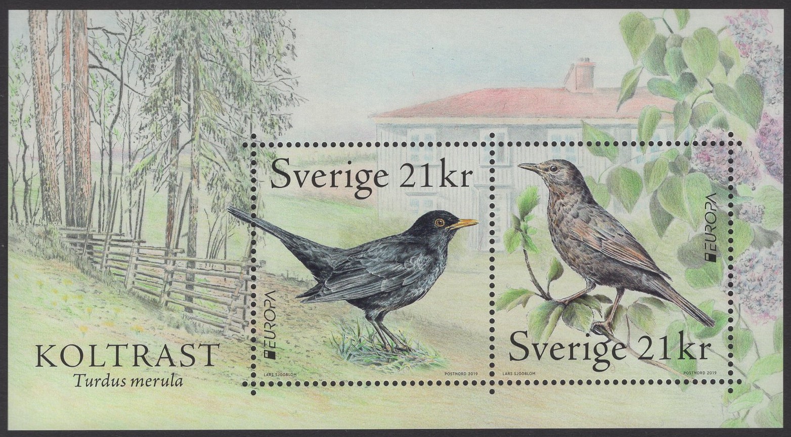Schweden - postfrisch - Block 59 - Europa Einheimische Vögel 2019