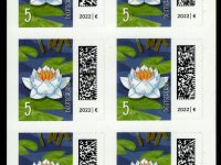 FBL 113 Weiße Seerose