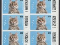 FBL 124 Haustiere Katzen